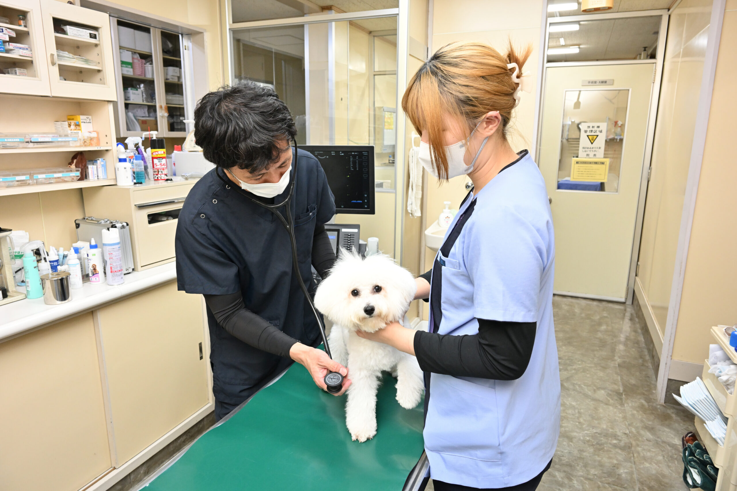 鴨川動物病院photo