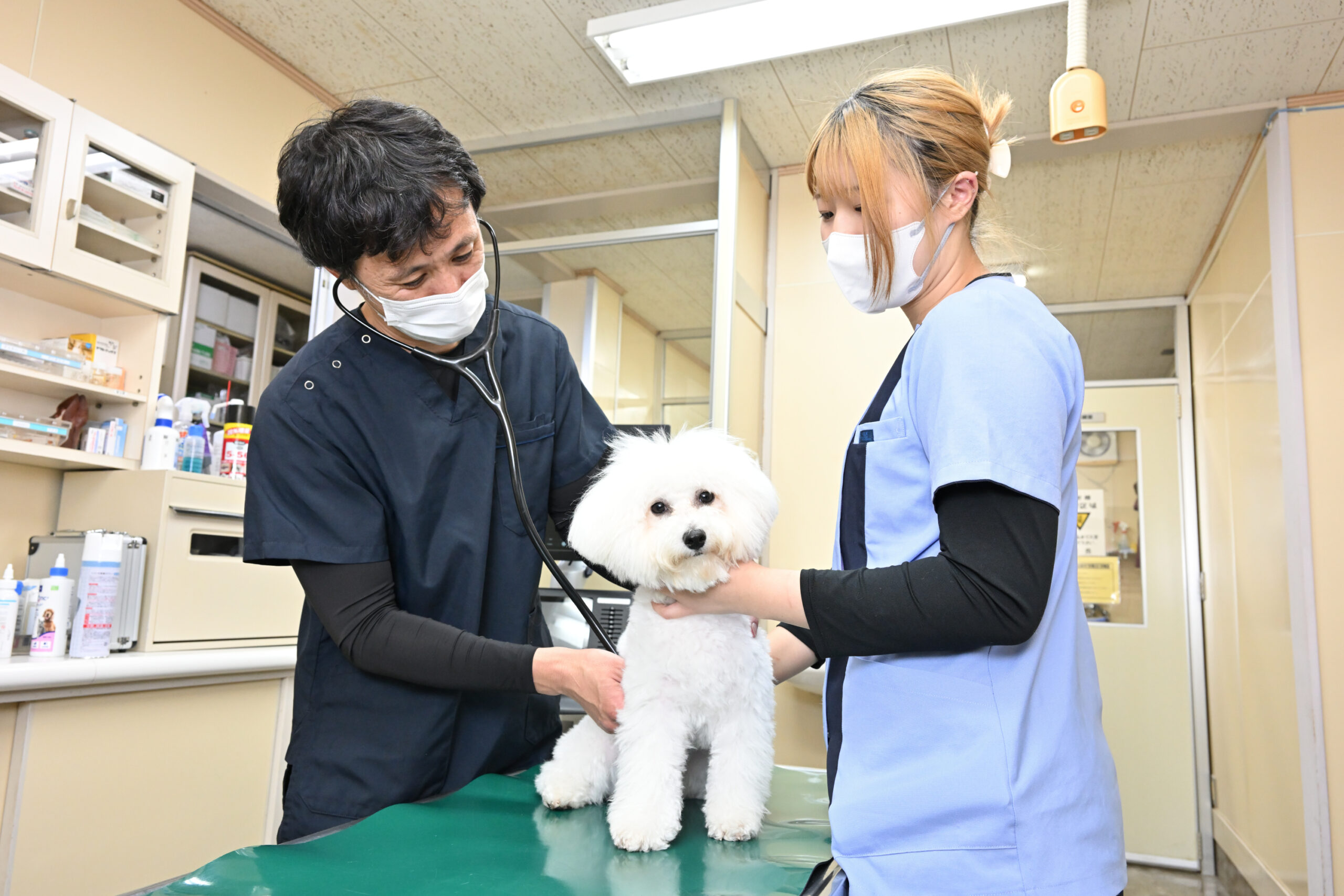 鴨川動物病院photo