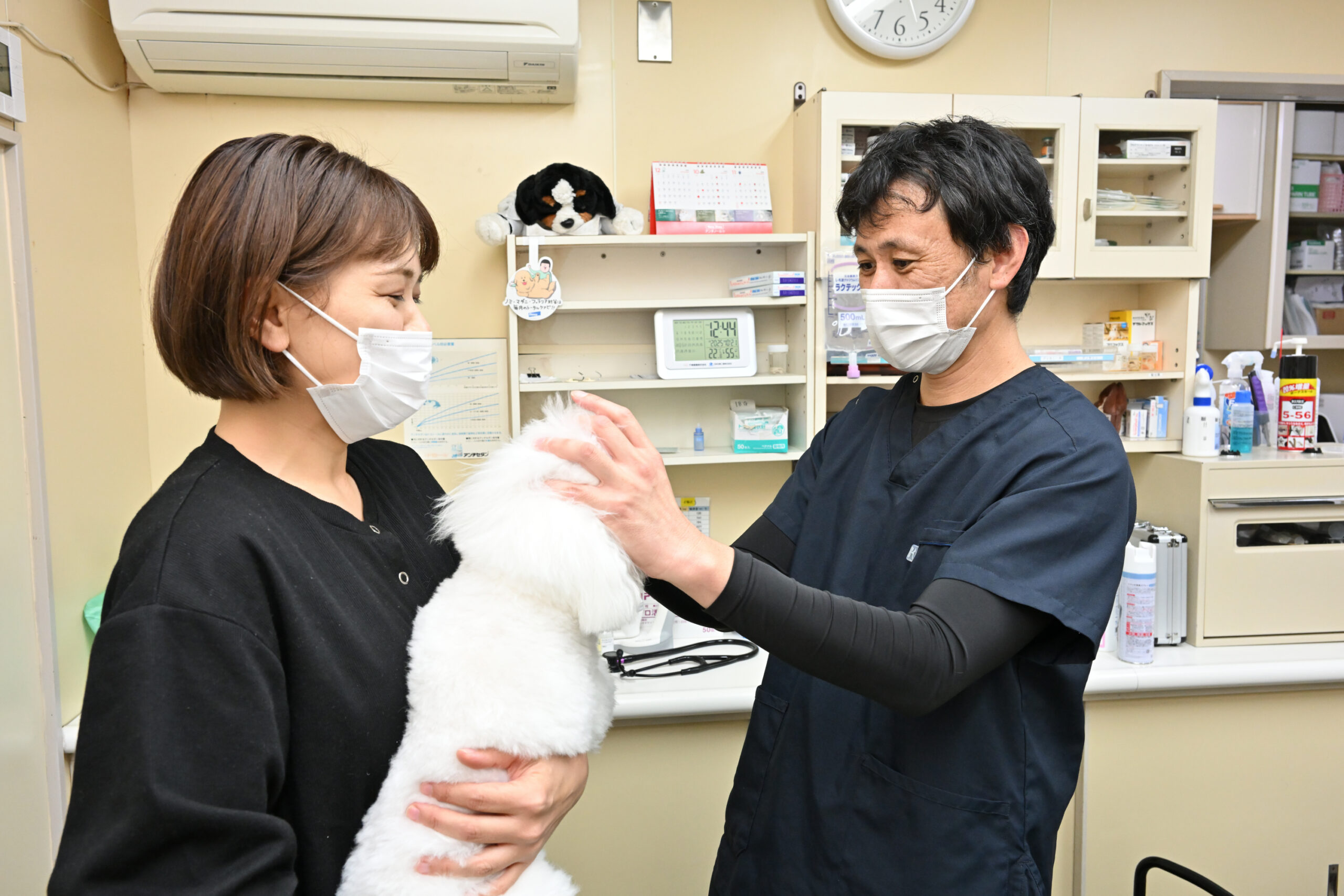 鴨川動物病院photo