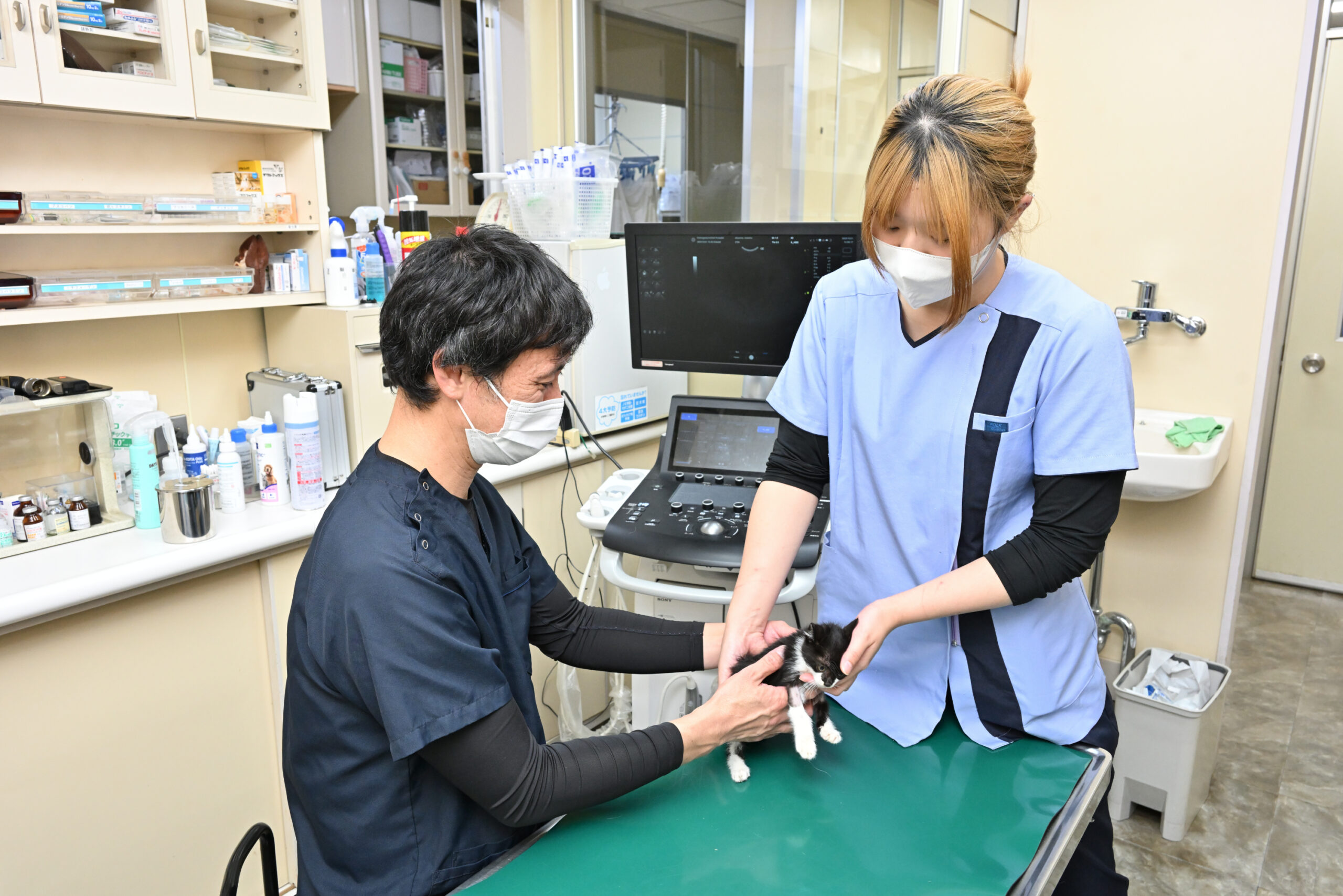 鴨川動物病院photo