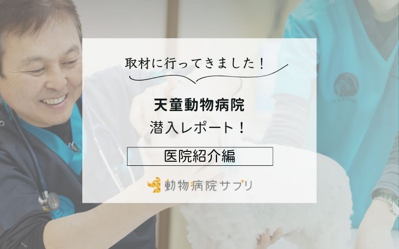 天童動物病院photo
