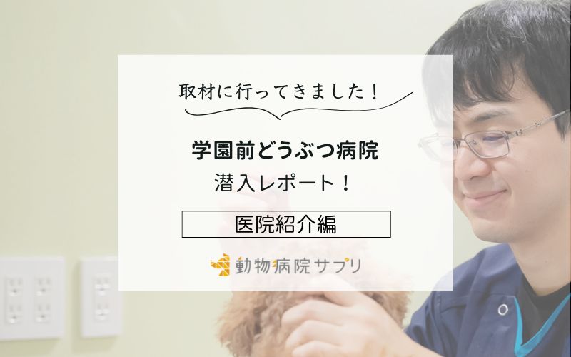 学園前どうぶつ病院photo