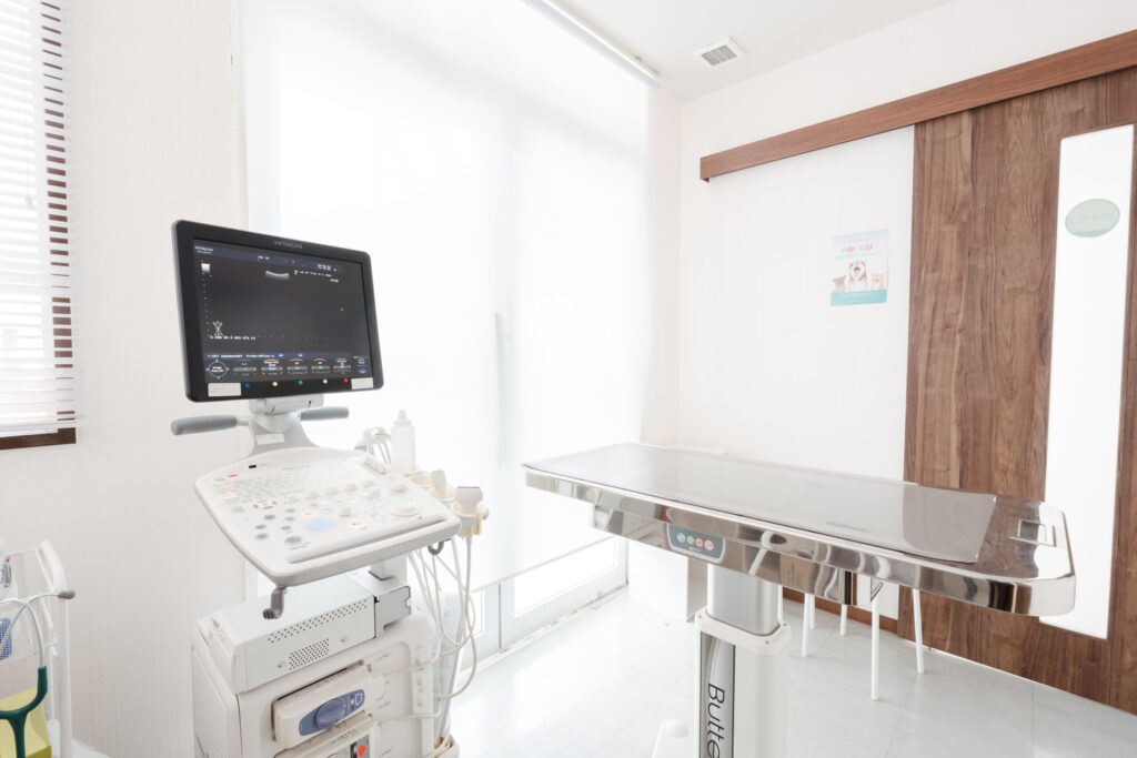 西宮たい動物病院