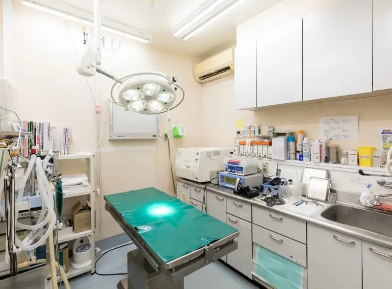 三ツ池動物病院