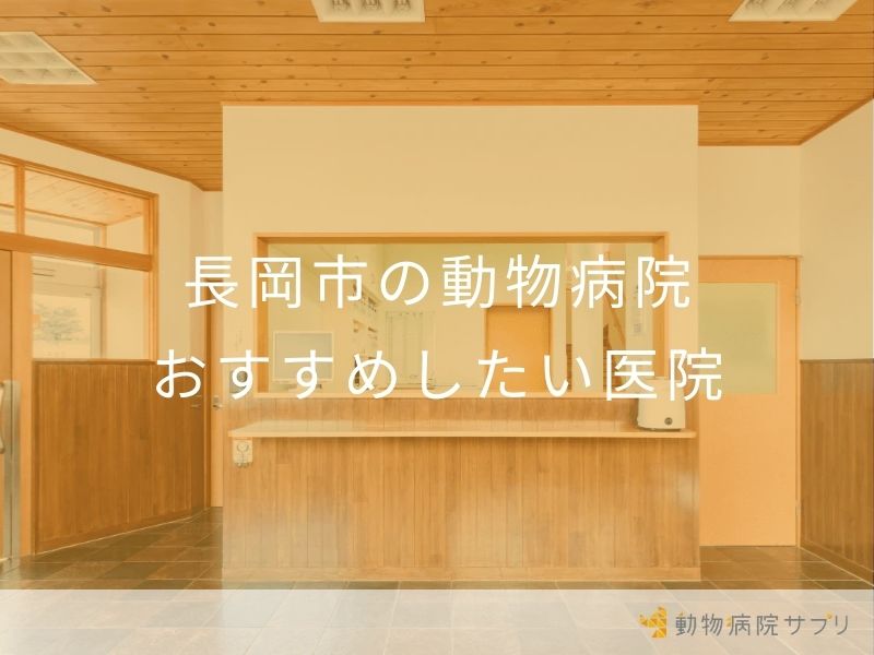 長岡市の動物病院 おすすめしたい医院