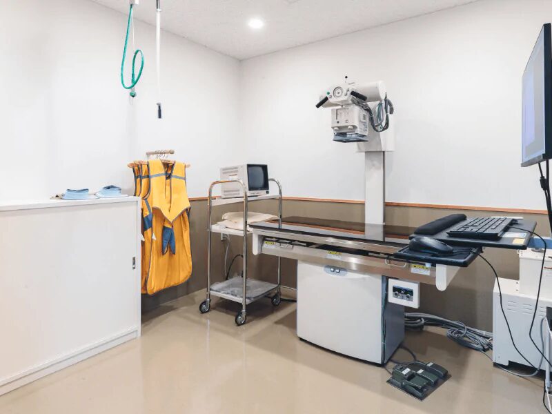 あたご犬猫病院