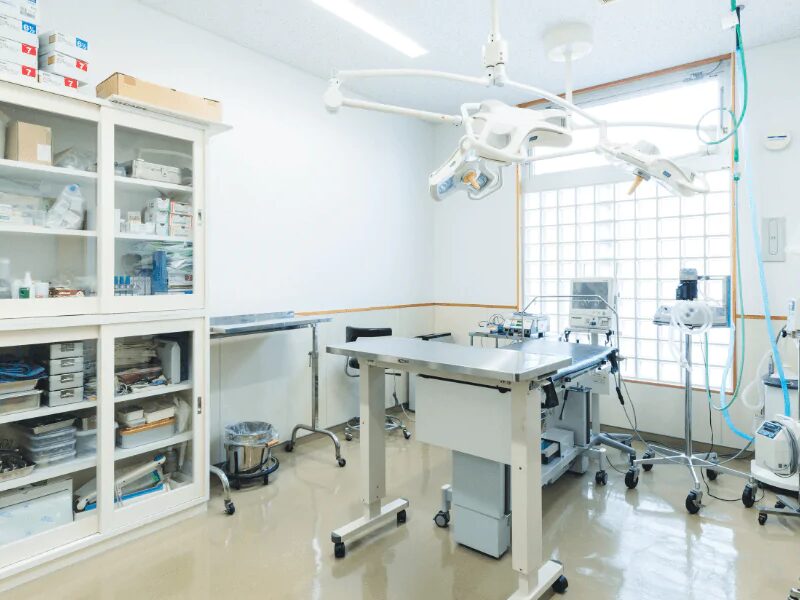 あたご犬猫病院