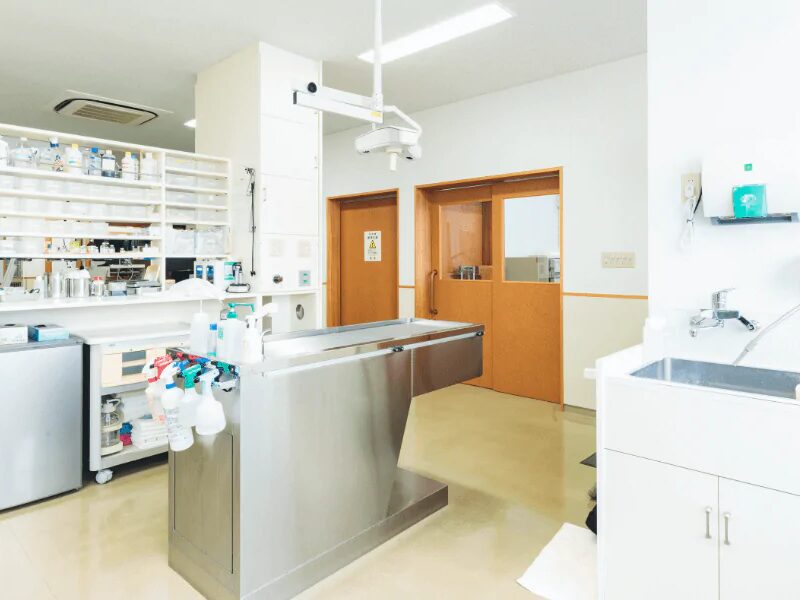 あたご犬猫病院