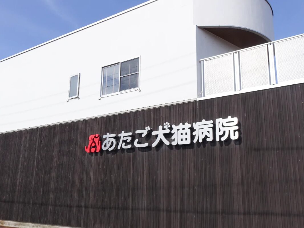 あたご犬猫病院