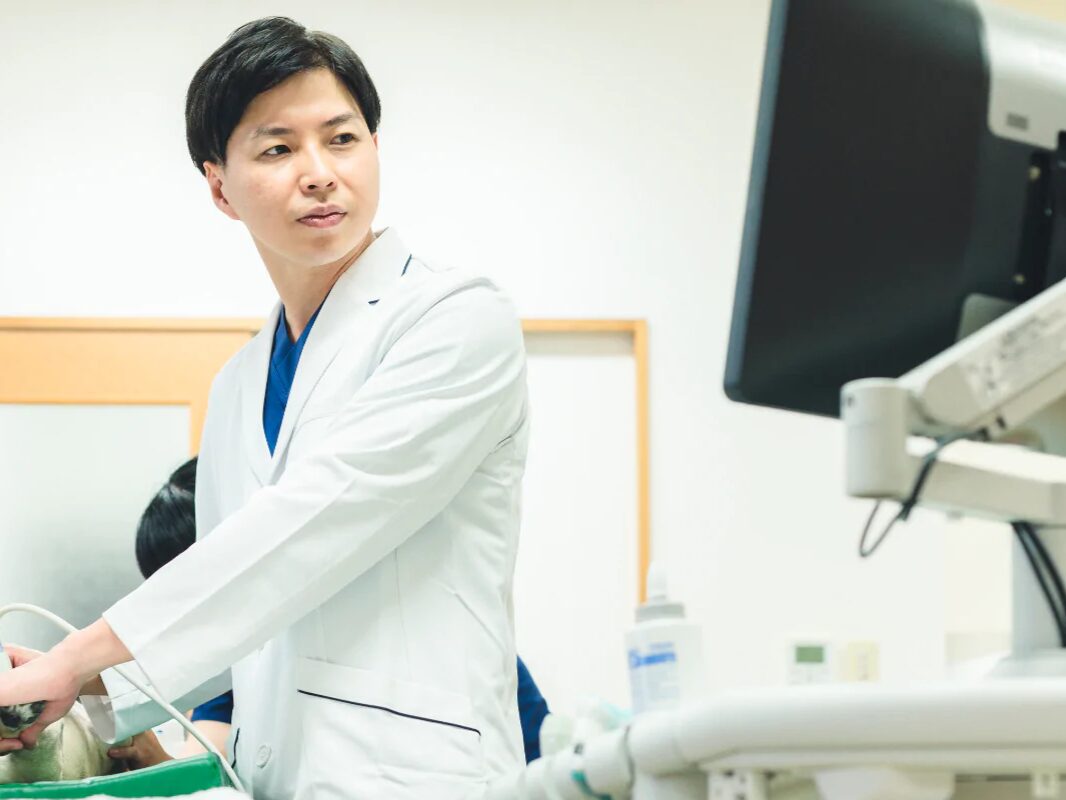 あたご犬猫病院