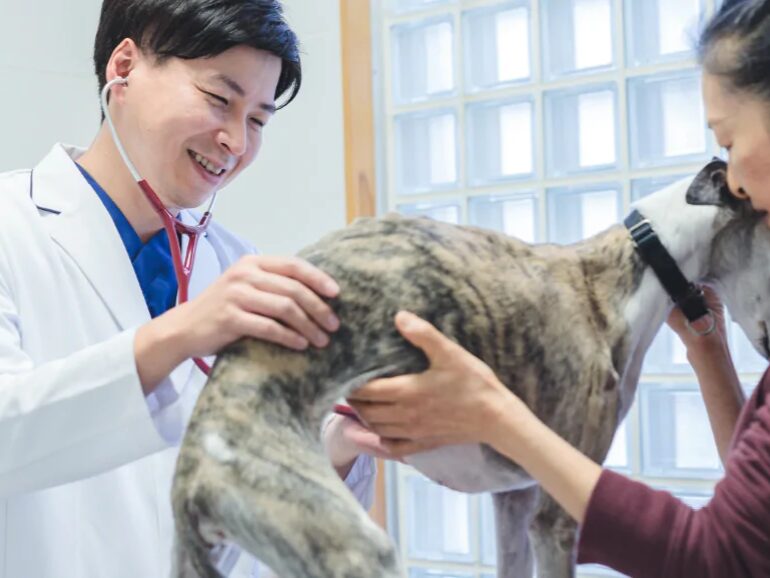 あたご犬猫病院