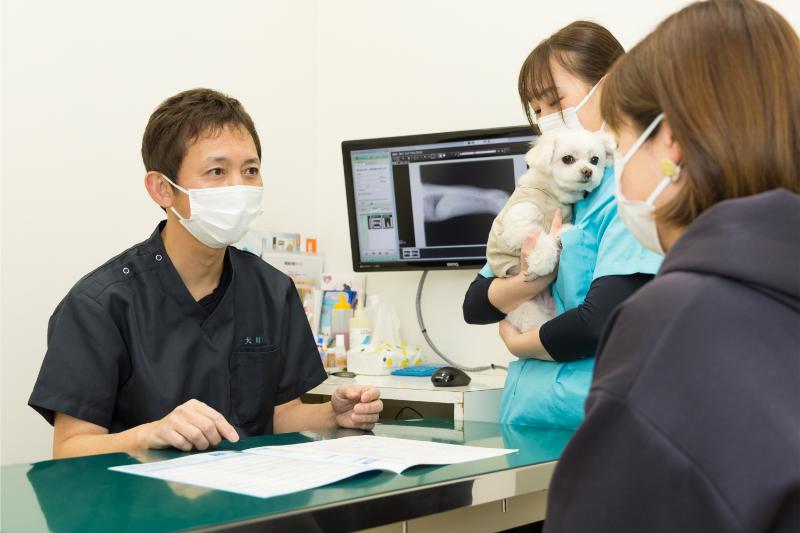 町屋動物病院