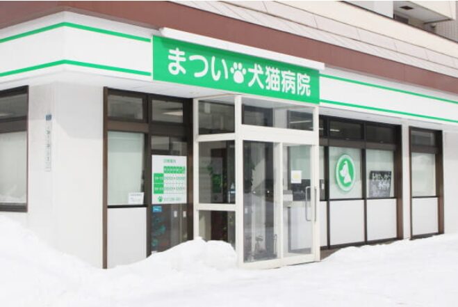 まつい犬猫病院