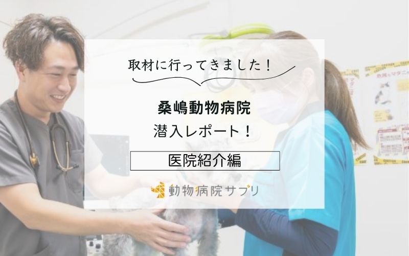 桑嶋動物病院photo