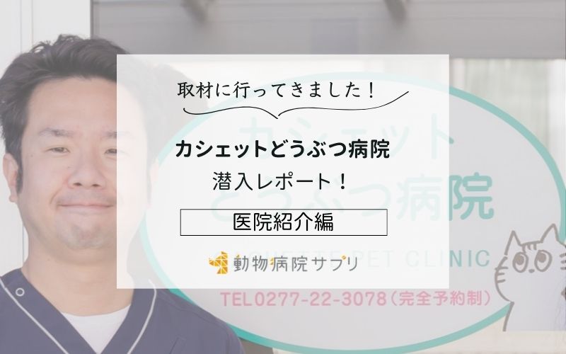 カシェットどうぶつ病院photo