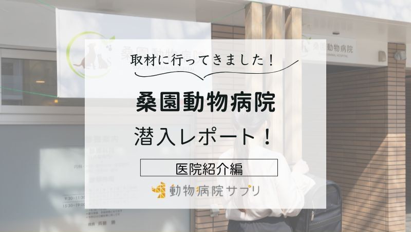 桑園動物病院photo