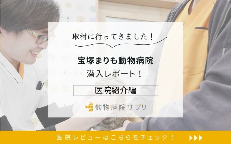 宝塚まりも動物病院