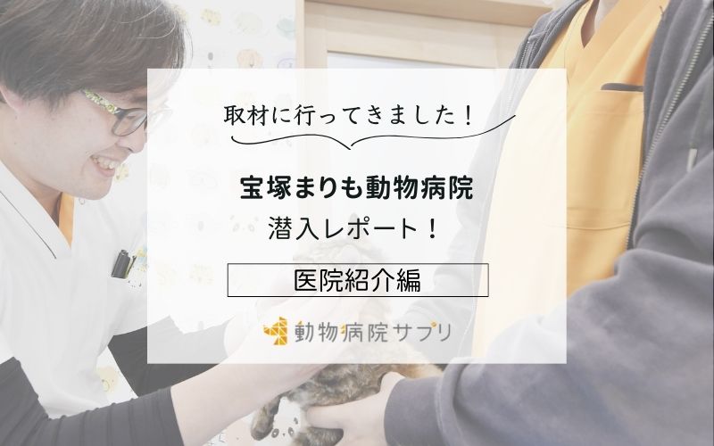 宝塚まりも動物病院photo