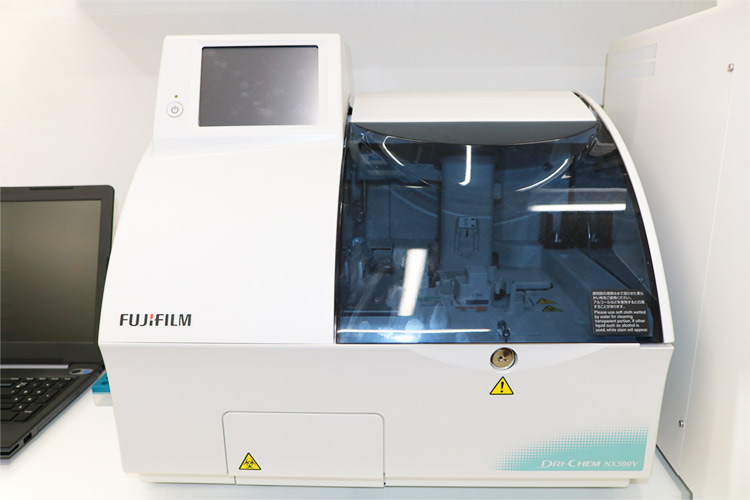 SHALAN動物病院photo