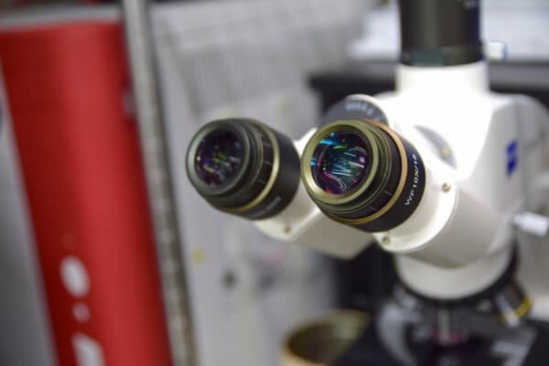 ナガワ動物病院