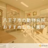 【2026年】八王子市の動物病院 おすすめしたい1医院