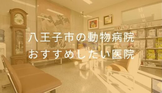 【2026年】八王子市の動物病院 おすすめしたい1医院