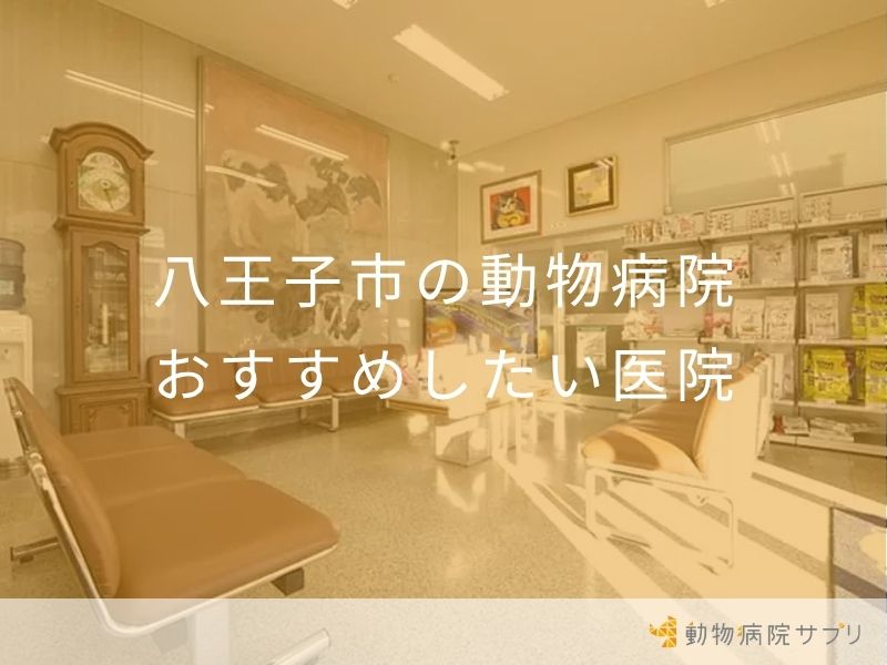 八王子市の動物病院 おすすめしたい医院