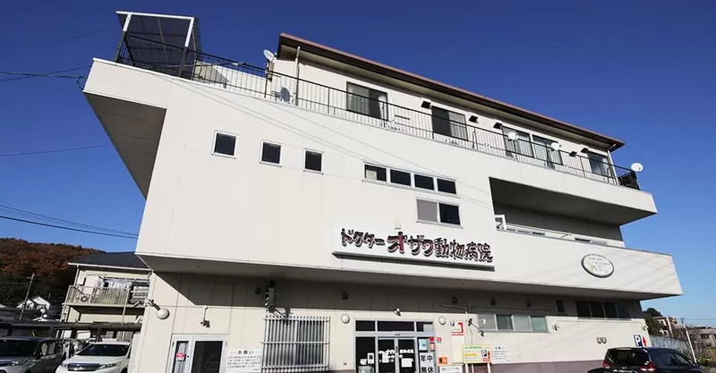 ドクターオザワ動物病院 八王子病院