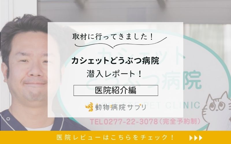 カシェットどうぶつ病院
