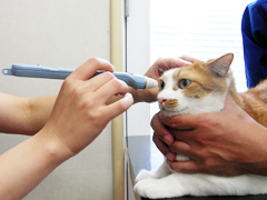 パティ動物病院photo