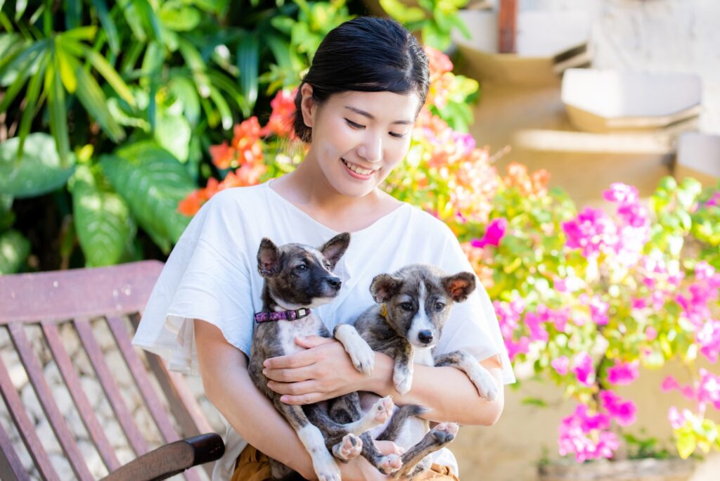 子犬のしゃっくりを予防するためにできること