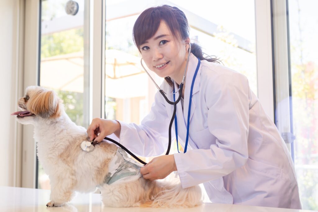 【犬の動物病院への連れて行き方】飼い主が押さえておくべきマナー