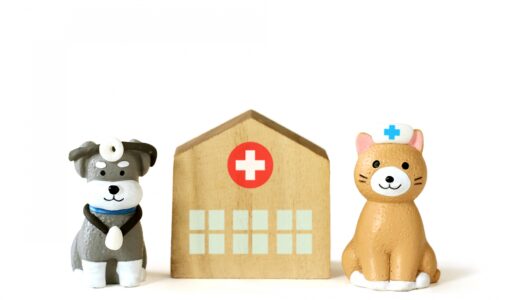 ペットの緊急時｜動物病院への電話や受診の目安などを詳しく解説！