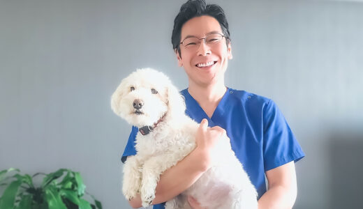 【犬編】動物病院への連れて行き方やマナーをわかりやすく解説！