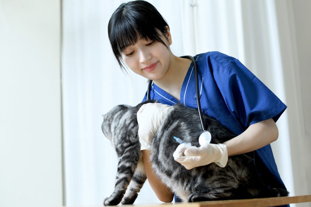 猫に注射をする女性獣医師