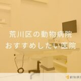【2026年】荒川区の動物病院 おすすめしたい5医院