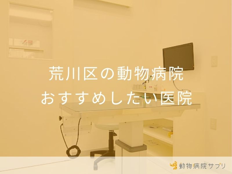 荒川区の動物病院 おすすめしたい医院