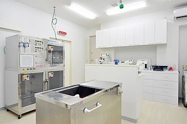 町屋動物病院