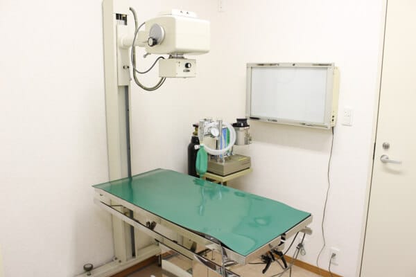 ちよだ動物病院photo