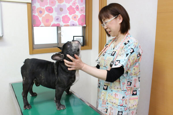 ちよだ動物病院photo