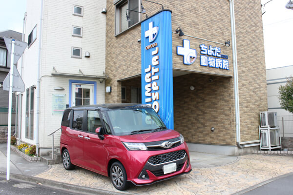 ちよだ動物病院photo
