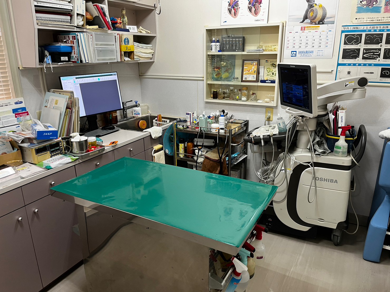 倉敷動物愛護病院photo