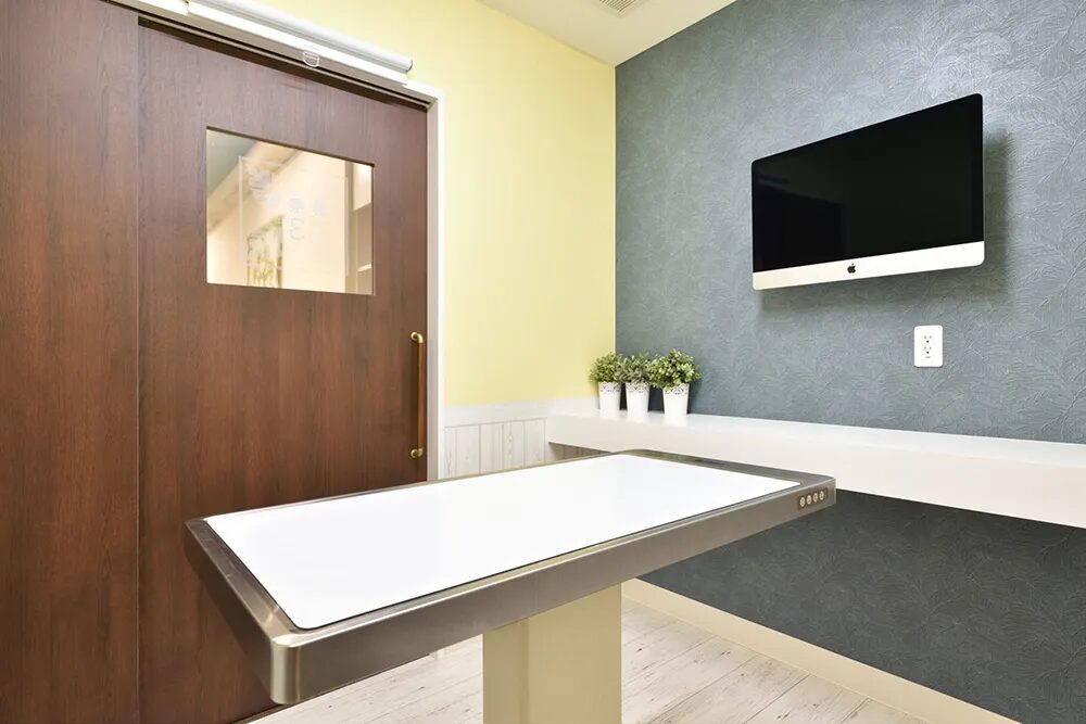 はな犬猫病院photo