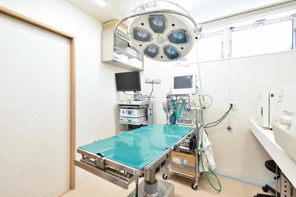 はな犬猫病院photo