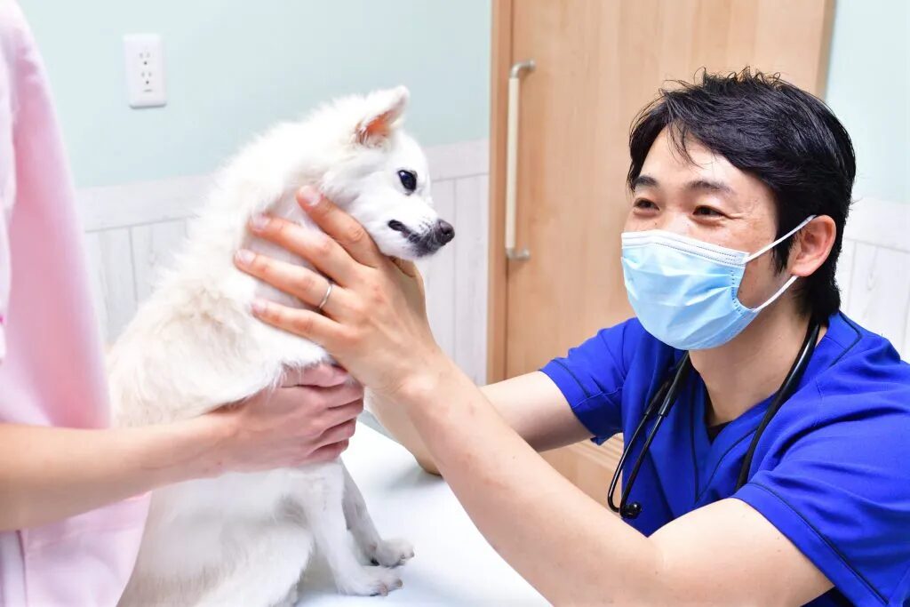 はな犬猫病院photo