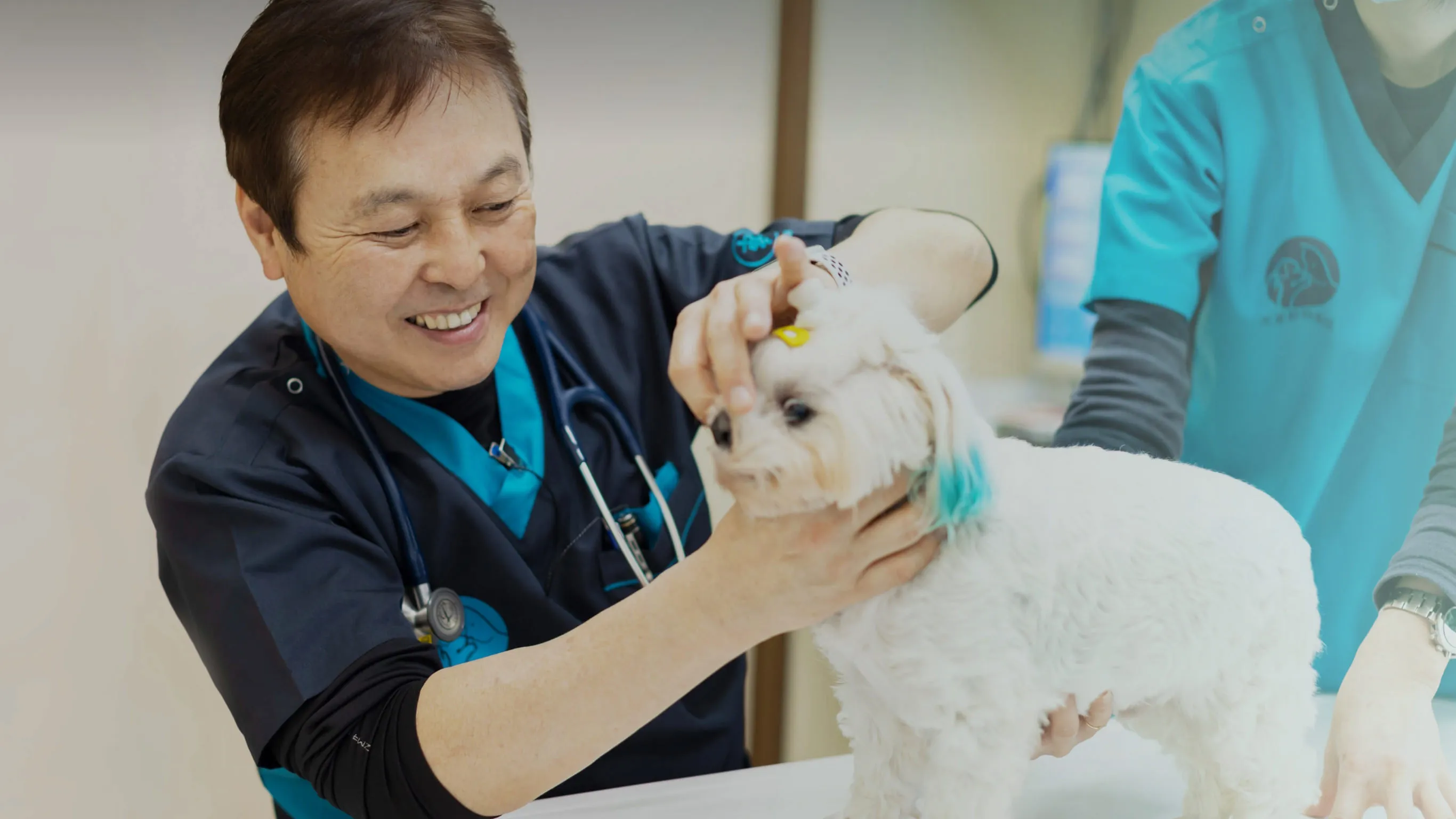 天童動物病院photo