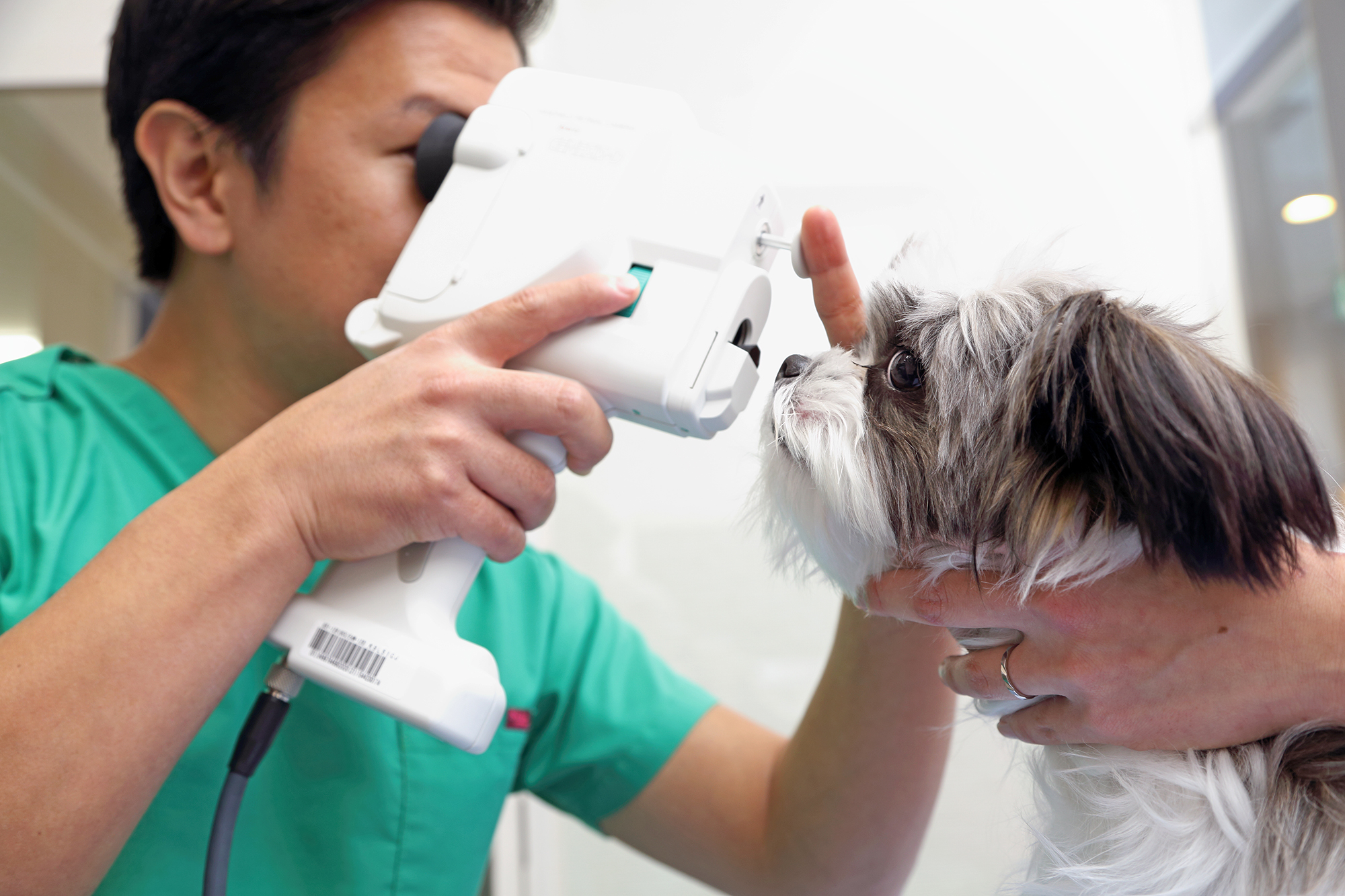 りほの動物病院photo
