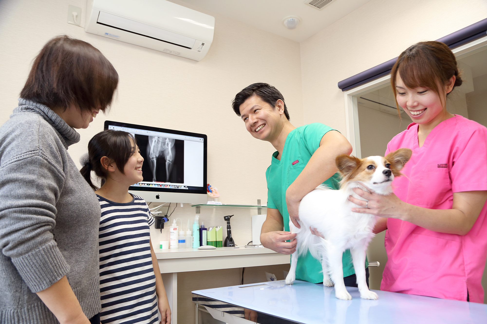りほの動物病院photo