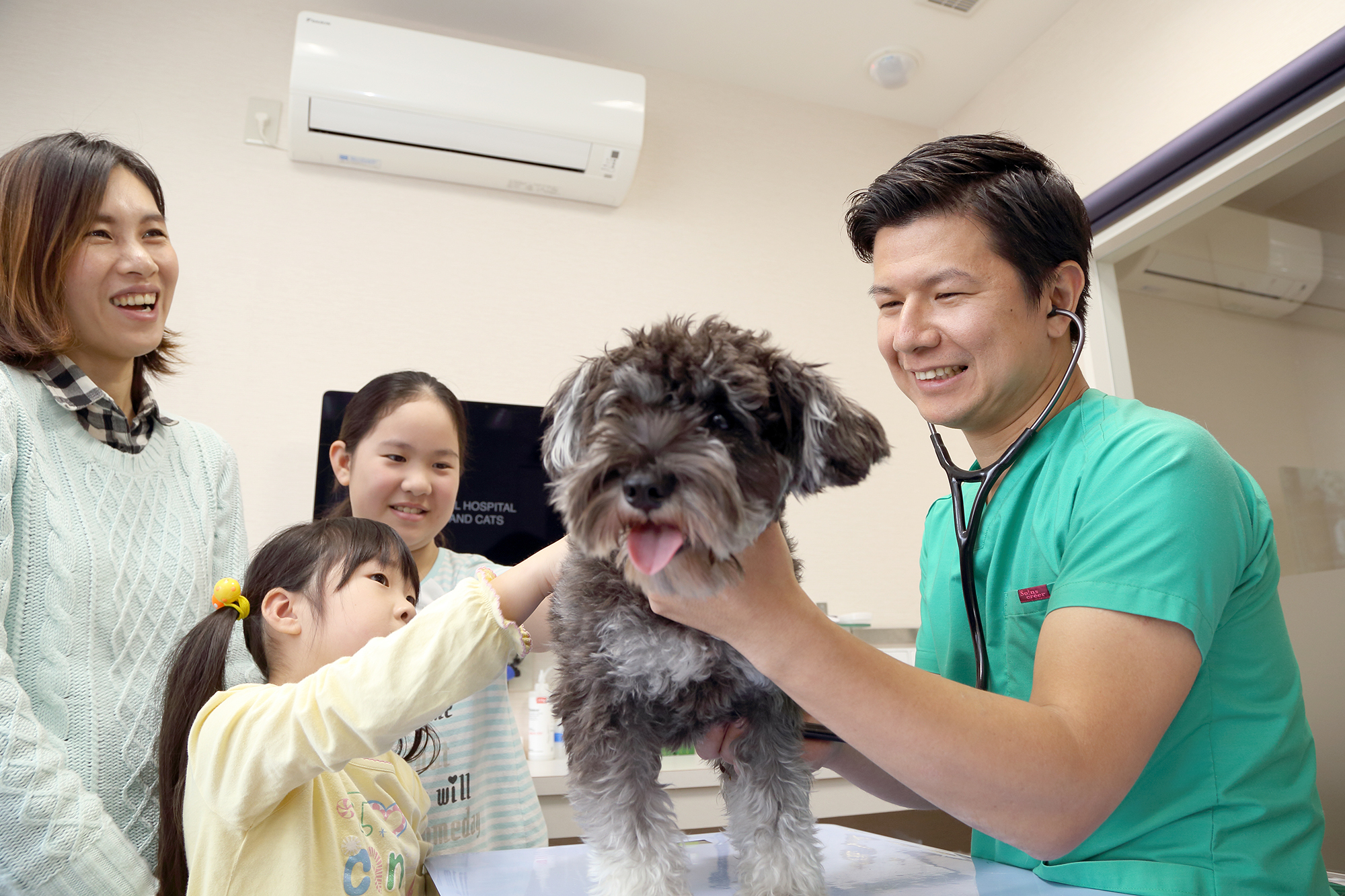 りほの動物病院photo