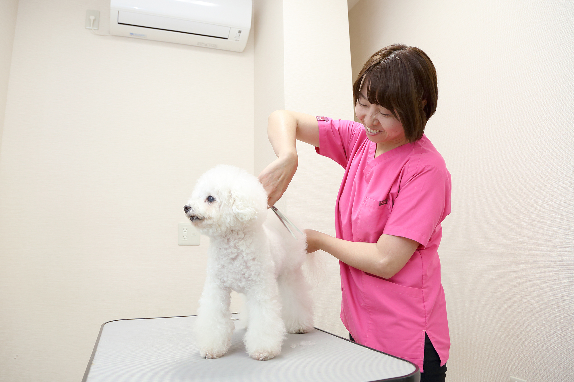 りほの動物病院photo